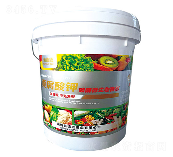 �S�����-�Z����