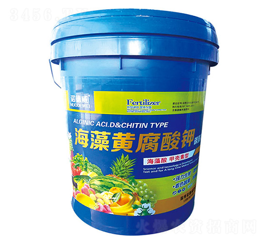 �����S�����-�Z����