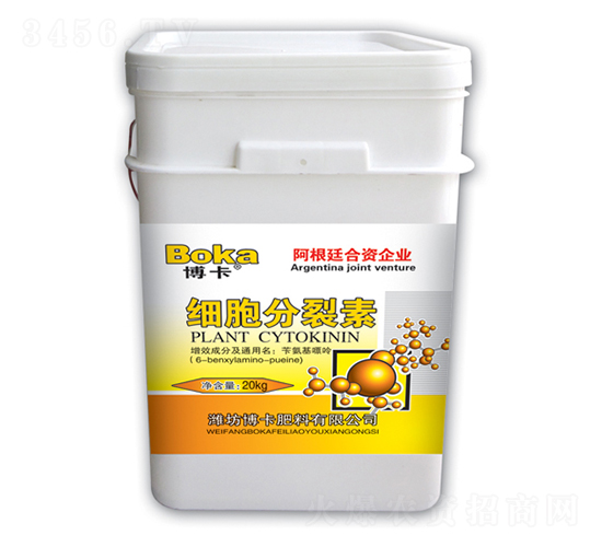 ��(x��)��������-����