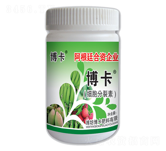 ���������أ�ƿ�b��-����