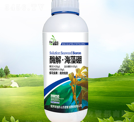 ø�⡤������-������