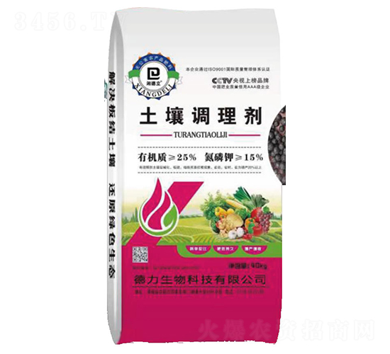 �����{�턩-��������