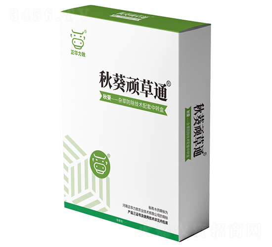 ����B��ͨ-���A����