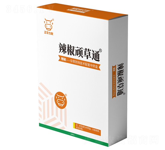 �����B��ͨ-���A����