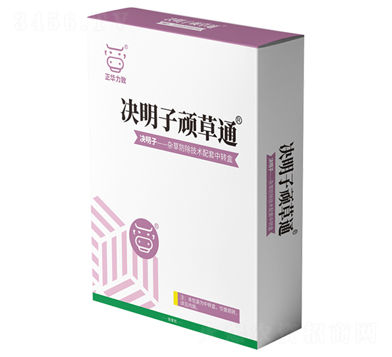 �Q�����B��ͨ-���A����