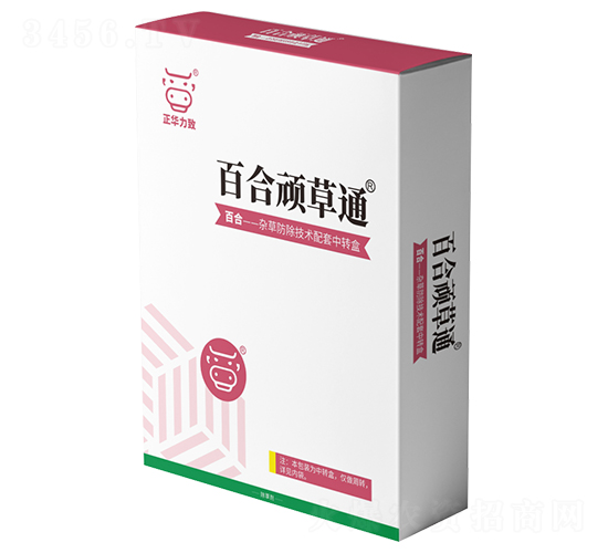 �ٺ��B��ͨ-���A����