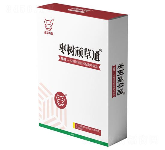 �����B��ͨ-���A����