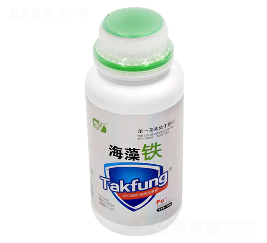 �����F-���|����