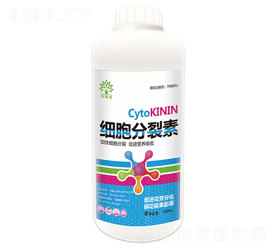 ��(x��)��������-������-�r(n��ng)ʥ��