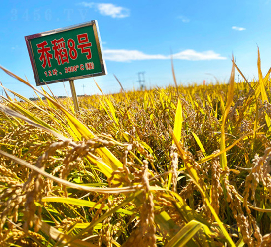 �̵�8̖(h��o)-ˮ���N��-���ϷN�I(y��)