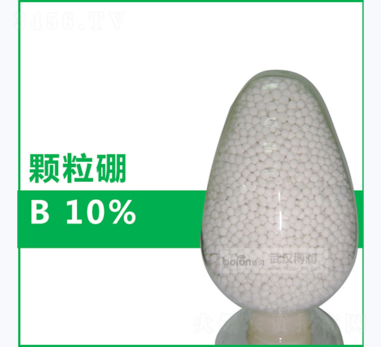 10%�w����-����(r��n)�Ƽ�