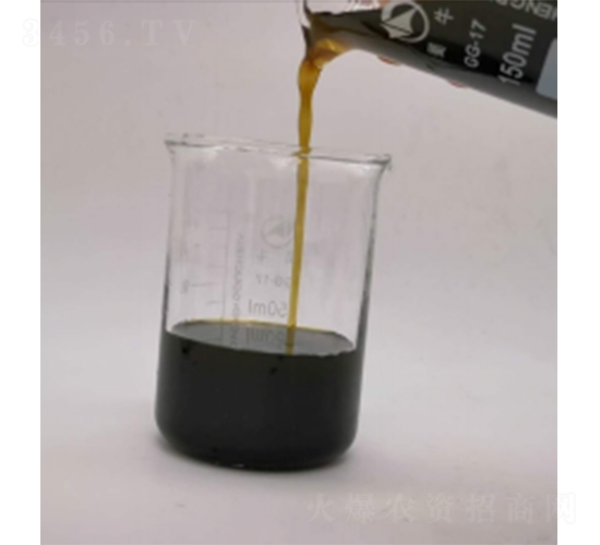 ø�ⰱ���������F-�����Ƽ�