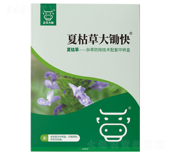 �Ŀݲݴ��z��-���A����