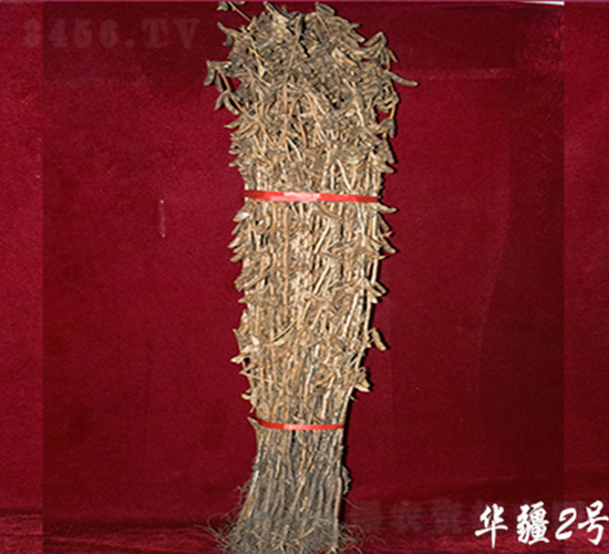 �A��2̖(h��o)-�󶹷N��-��D�N�I(y��)