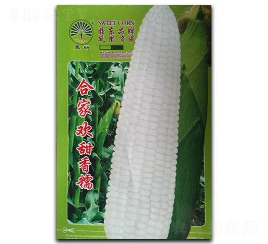 �ϼҚg-Ŵ���׷N��-�P�˷N�I(y��)