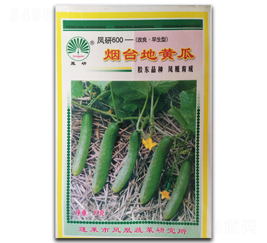 ���_���S��-�S�ϷN��-�P�˷N�I(y��)