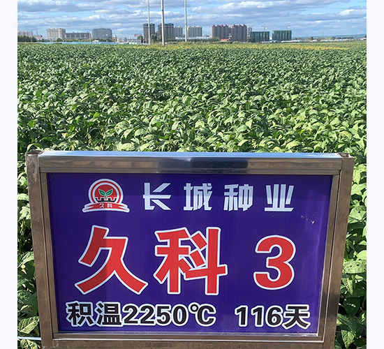 �ÿ�3̖-�󶹷N��-�L�ǷN�I(y��)