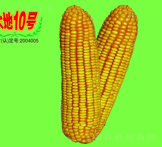 ���10̖-���׷N��-��طN�I(y��)