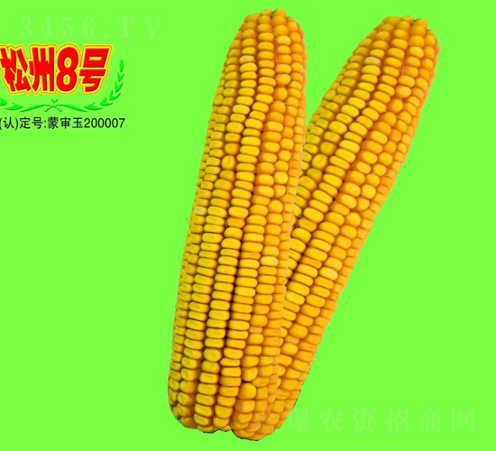 ����8̖-���׷N��-��طN�I(y��)