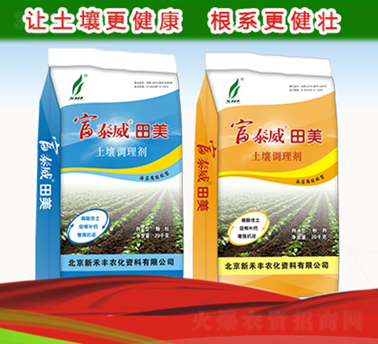 �����{�턩-��̩������-�º��S