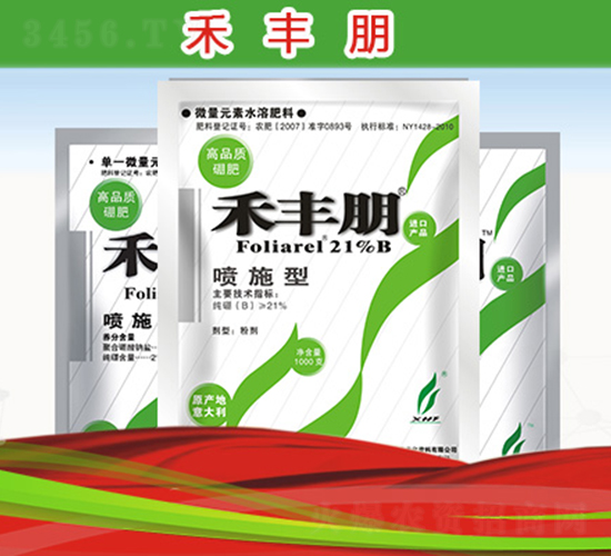 ���S��-�º��S