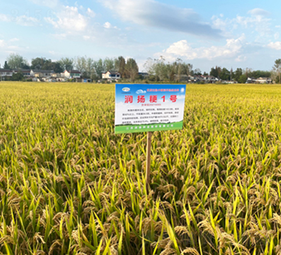 ���P(y��ng)��1̖-ˮ���N��-���P(y��ng)�N�I(y��)