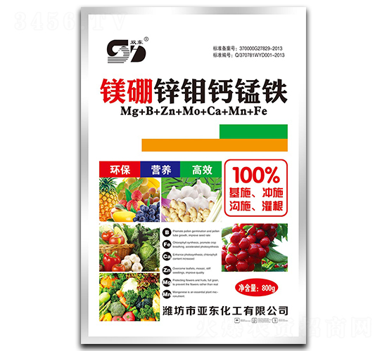 �V���\�f�}�i�F-�p�|-���|����