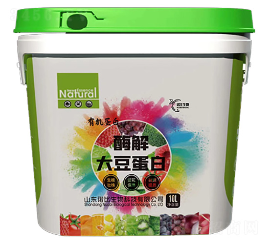 ø��󶹵���-�Z������