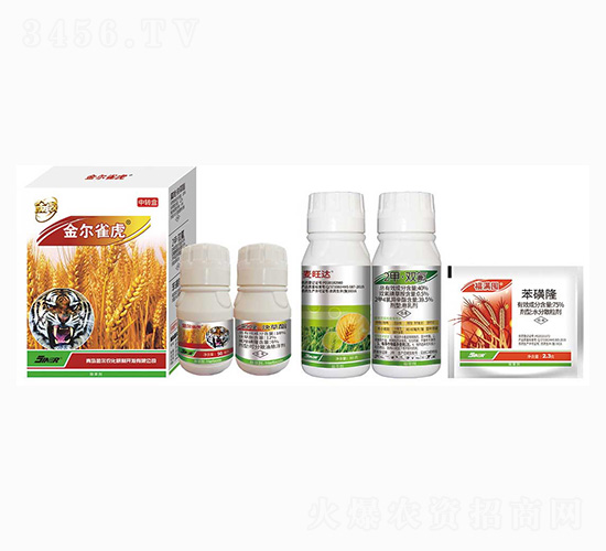 ��ȸ��-���r��