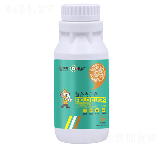 �����x���F�����a(b��)�F��-��СѾ-�_(k��i)������