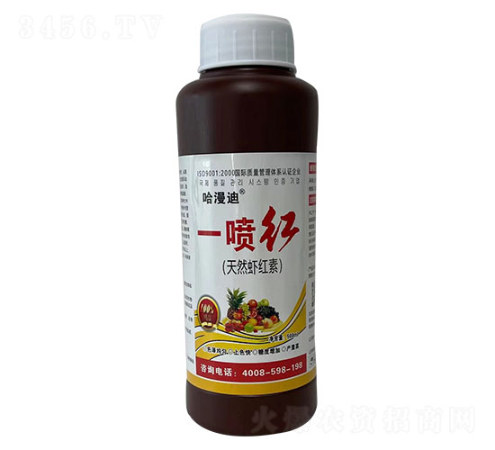 ��Ȼ�r�t��-һ���t-�ο�ֲ��