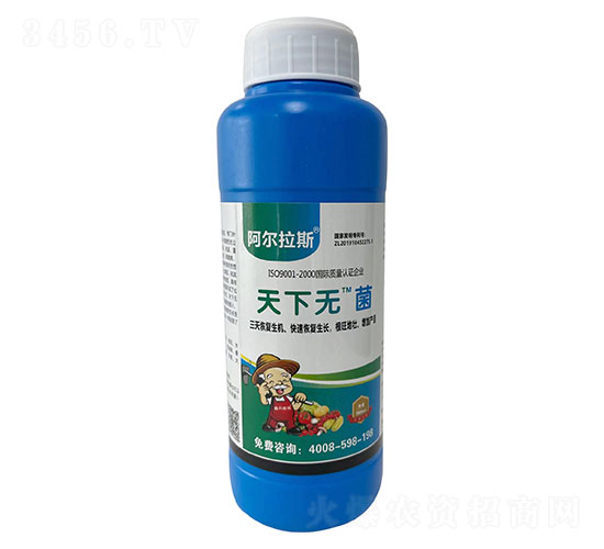 ���o��-�ο�ֲ��