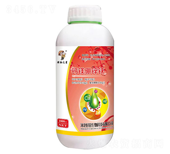 �}�V���\�F-����֮��-��������