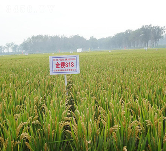 ��818-ˮ���N��-��(r��n)�r(n��ng)�N�I(y��)