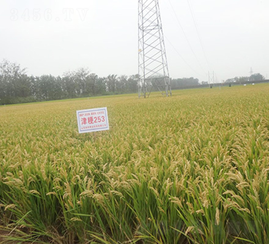 ��253-ˮ���N��-���r�N�I(y��)