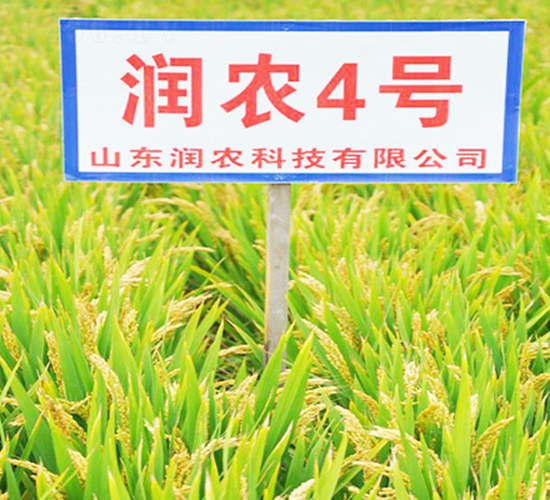 ���r4̖-ˮ���N��-���r�N�I(y��)