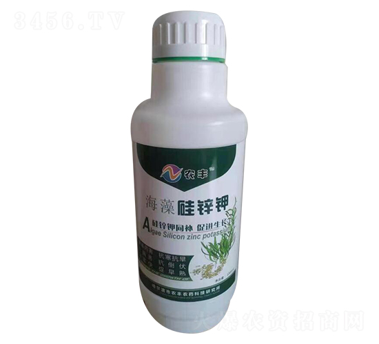 ������\�-�Pʩ������