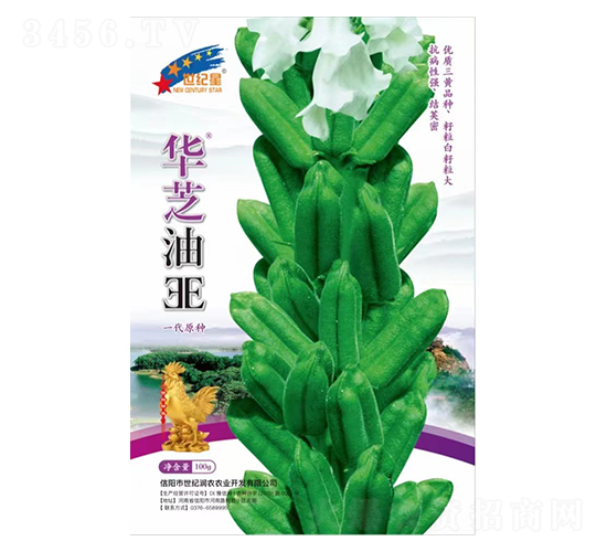 �A֥��EE-֥��N��-�Aһ�N�I(y��)