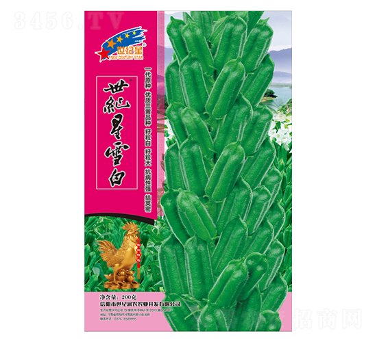 ���o(j��)��ѩ��-֥��N��-�Aһ�N�I(y��)