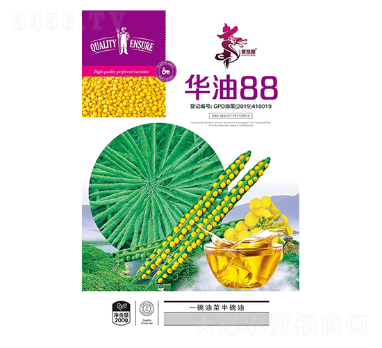 �A��88-�Ͳ˷N��-�Aһ�N�I(y��)