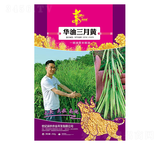 �A�������S-�Ͳ˷N��-�Aһ�N�I(y��)