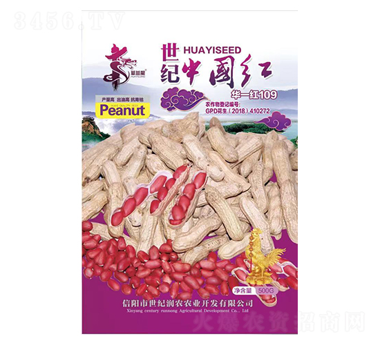 ���o(j��)�Ї��t�Aһ�t109-�����N��-�Aһ�N�I(y��)