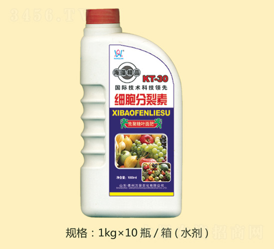 ���徫Ʒ��(x��)��������-�fȪ�r(n��ng)��