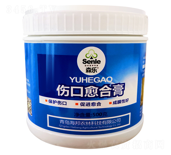 �������ϸ�-ɭ��(l��)-�����r(n��ng)��