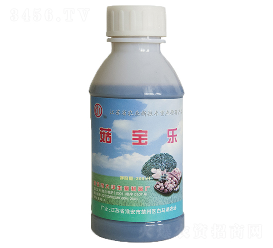 ������-���A����