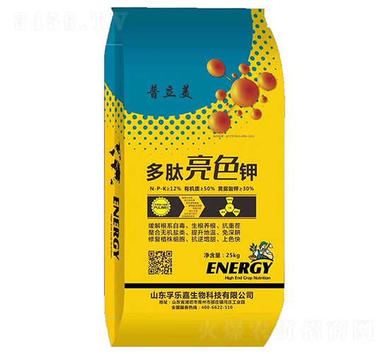 ������ɫ�-������-�ژ���