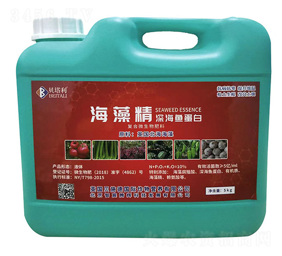 ���徫��~(y��)����-ؐ����-����v�x