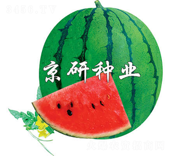 ����3̖-���ϷN��-���зN�I(y��)