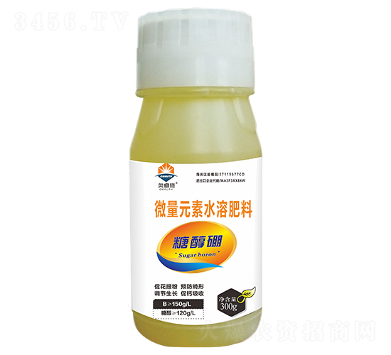 �Ǵ���-�W�ʩ