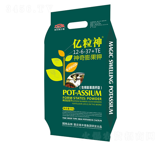 �������⛣�����������}�ͣ�12-6-37+TE-�|����-(li��n)�r(n��ng)���S��